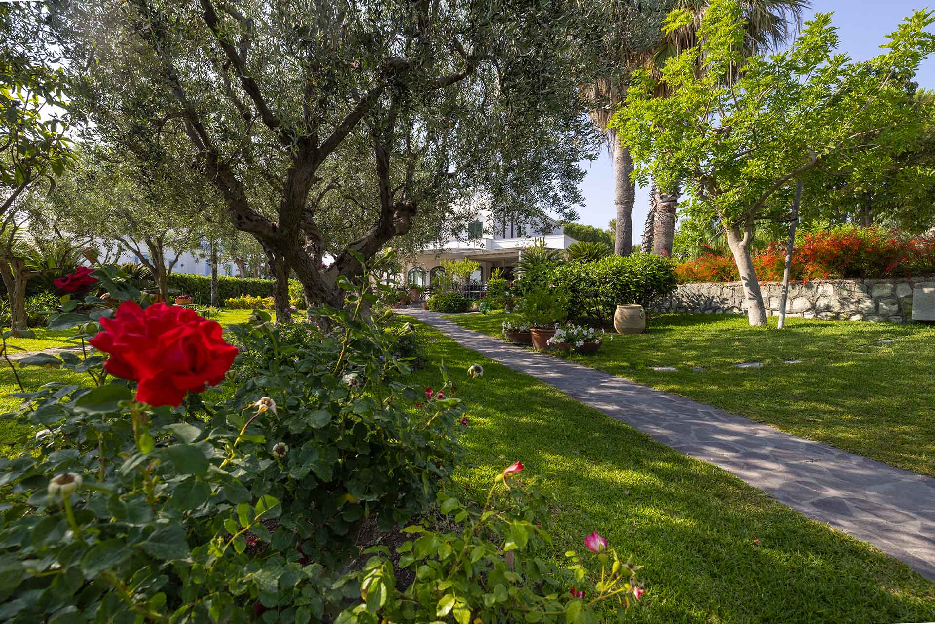 boutique-hotel-ideal-giardini-e-piscine-022