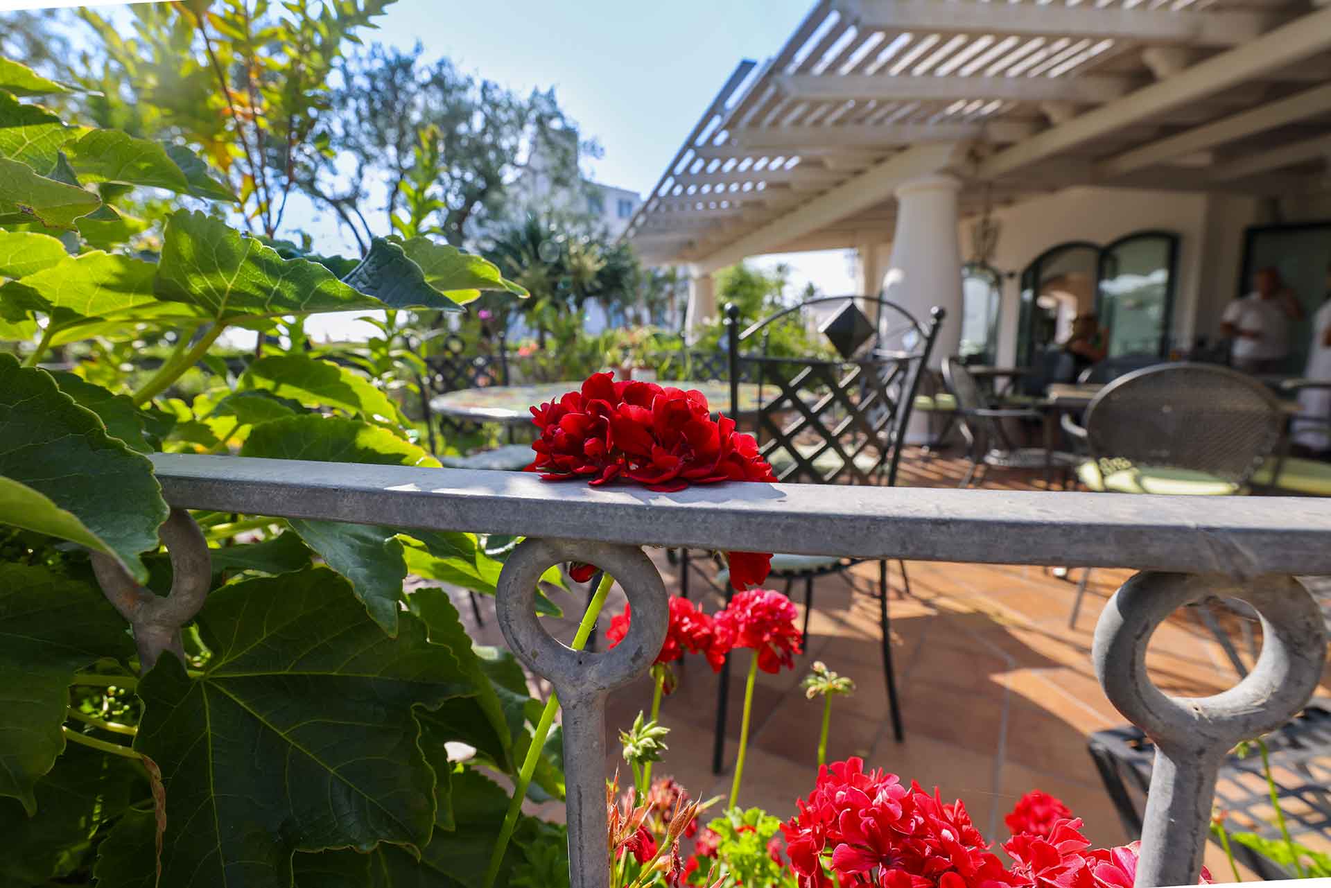 boutique-hotel-ideal-giardini-e-piscine-023